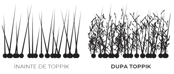 Firul de păr înainte/după utilizarea nanofibrelor Toppik