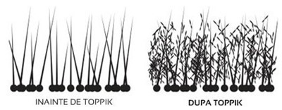 Firul de par inainte/dupa utilizarea nanofibrelor Toppik
